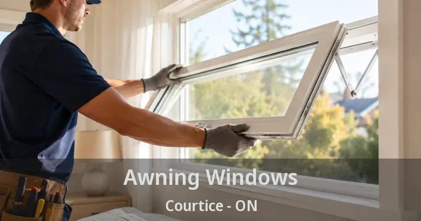 Awning Windows Courtice - ON