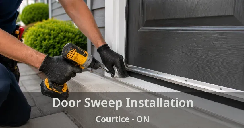 Door Sweep Installation Courtice - ON
