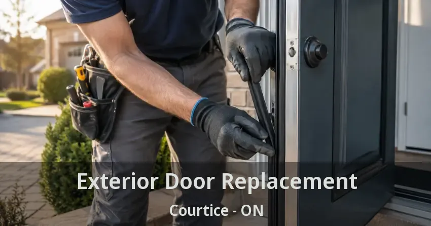 Exterior Door Replacement Courtice - ON