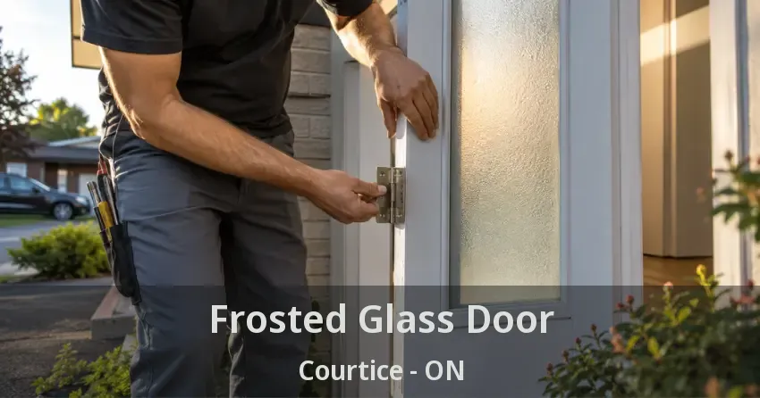 Frosted Glass Door Courtice - ON