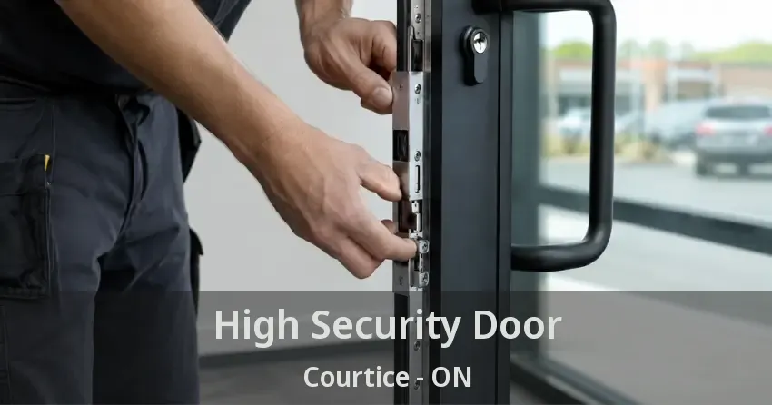 High Security Door Courtice - ON