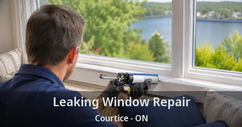 Leaking Window Repair Courtice - ON
