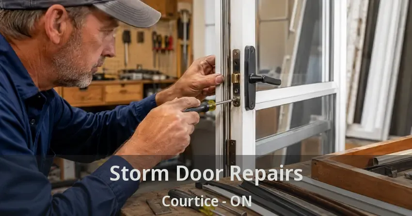 Storm Door Repairs Courtice - ON