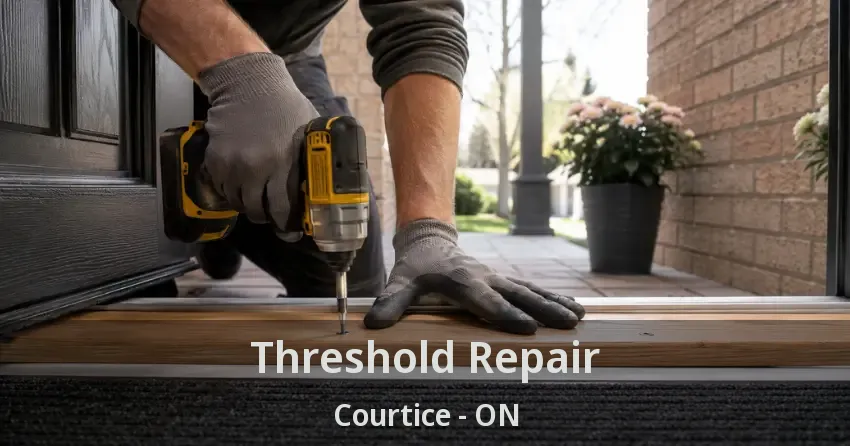 Threshold Repair Courtice - ON
