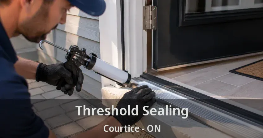 Threshold Sealing Courtice - ON